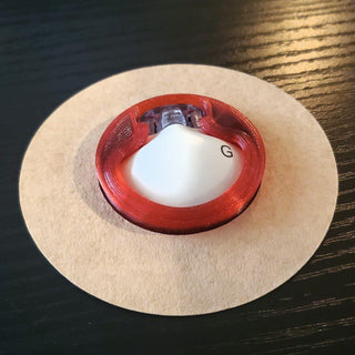 Red Garnet Crystal / Free Sample : Tan Skinsoft Texture
