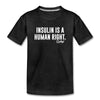 Load image into Gallery viewer, Insulin Is A Human Right I Am More Than Highs &amp; Lows Kids&#39; Premium T-Shirt - charcoal gray